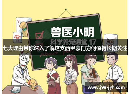 七大理由带你深入了解这支西甲豪门为何值得长期关注
